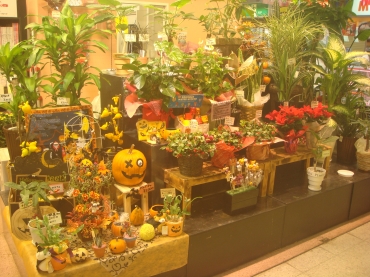 「花の明石」　（大阪府柏原市）の花屋店舗写真3